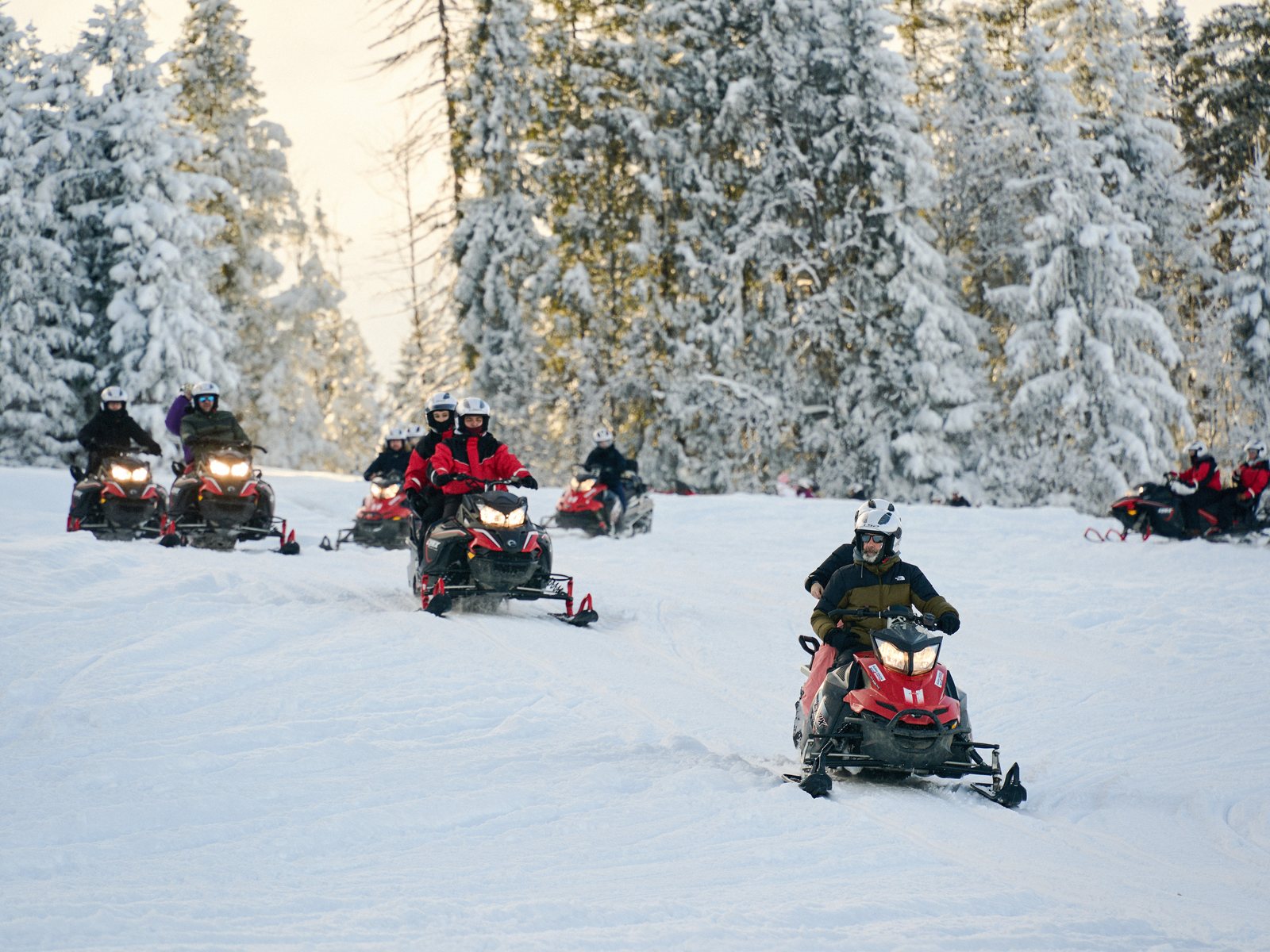 Snow Safari Poland – Snowmobile Poland Zakopane - photo 3 - Snow Safari Zakopane